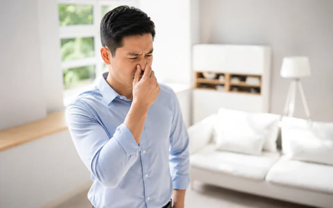 Nhà ở có mùi bí: Nguyên nhân và cách xử lý hiệu quả 1 chatgpt image 16 16 01 2 thg 7 2026 1782983789798976135479 57 0 1018 1537 crop 1782983793993274032659 1782996481660 1782996482034334315986